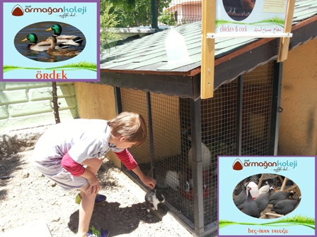 Gelişime katkıda bulunuyor