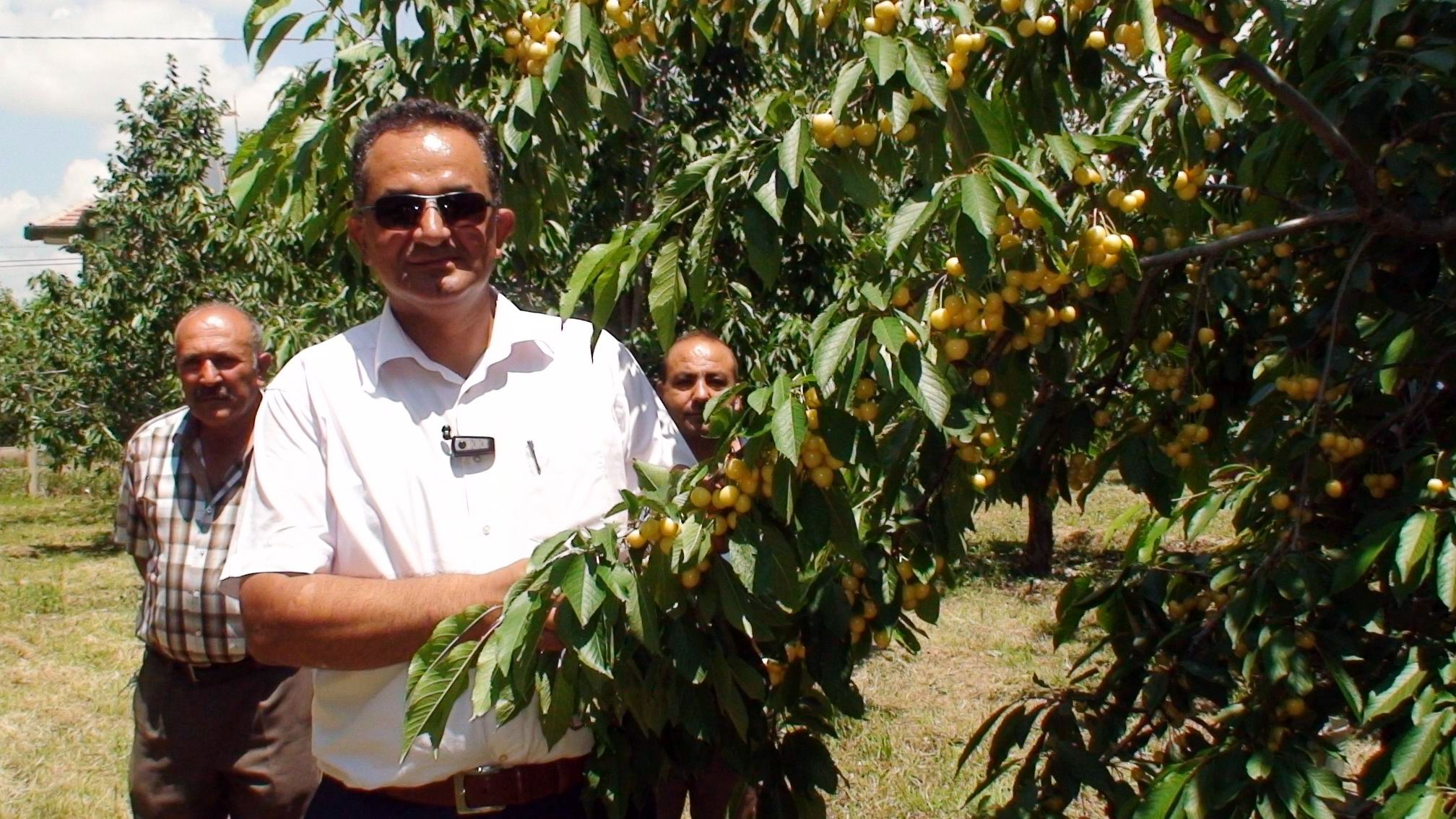 Üretici düşük fiyattan rahatsız