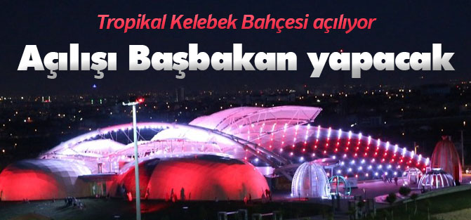 Başbakan Davutoğlu Konya tropikal kelebek bahçesini açacak