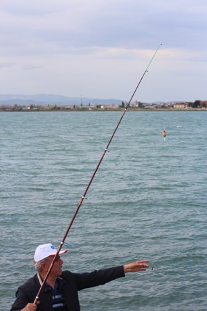 Amatör av sahaları genişledi