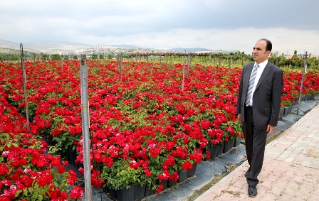 Selçuklu gül kokacak