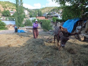 Toroslar'da kadınların zorlu yaşam mücadelesi