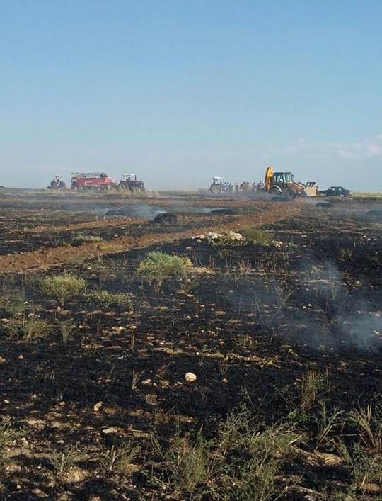 Beyşehir’de buğday tarlasında yangın