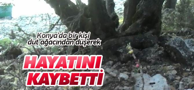 Konya'da bir kişi dut toplarken ağaçtan düşerek öldü