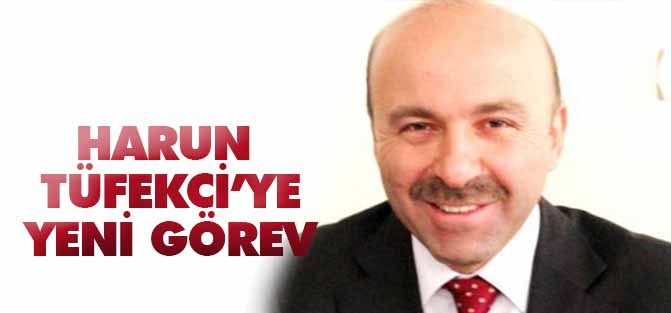 Harun Tüfekci, Bakan Yardımcısı oldu...