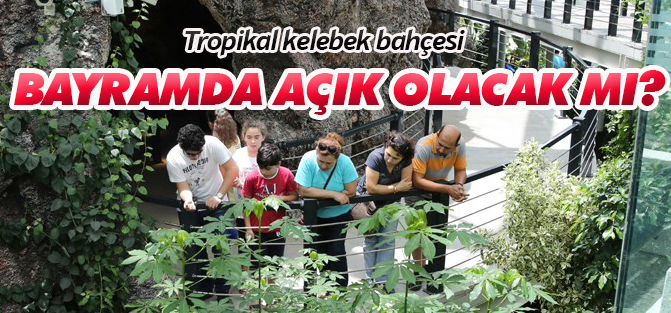 Tropikal kelebek bahçesi bayramda açık olacak mı?