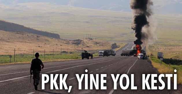 Iğdır-Doğubayazıt yolunda teröristler yol kesip tır yaktı