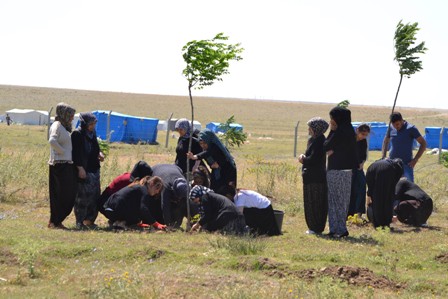 Motosiklet kazasında ölenler için fidan