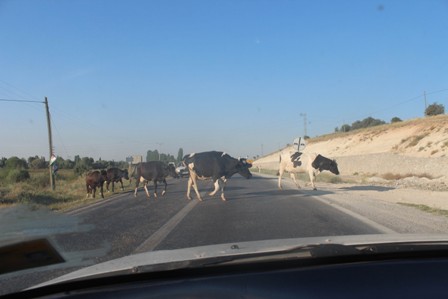 Yol güvenliğini tehlikeye düşürüyorlar