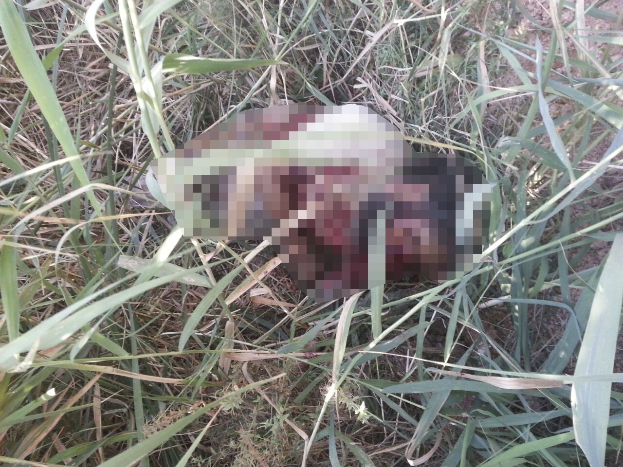 İşte Türk askerinin vurduğu DAEŞ'li teröristin cesedi