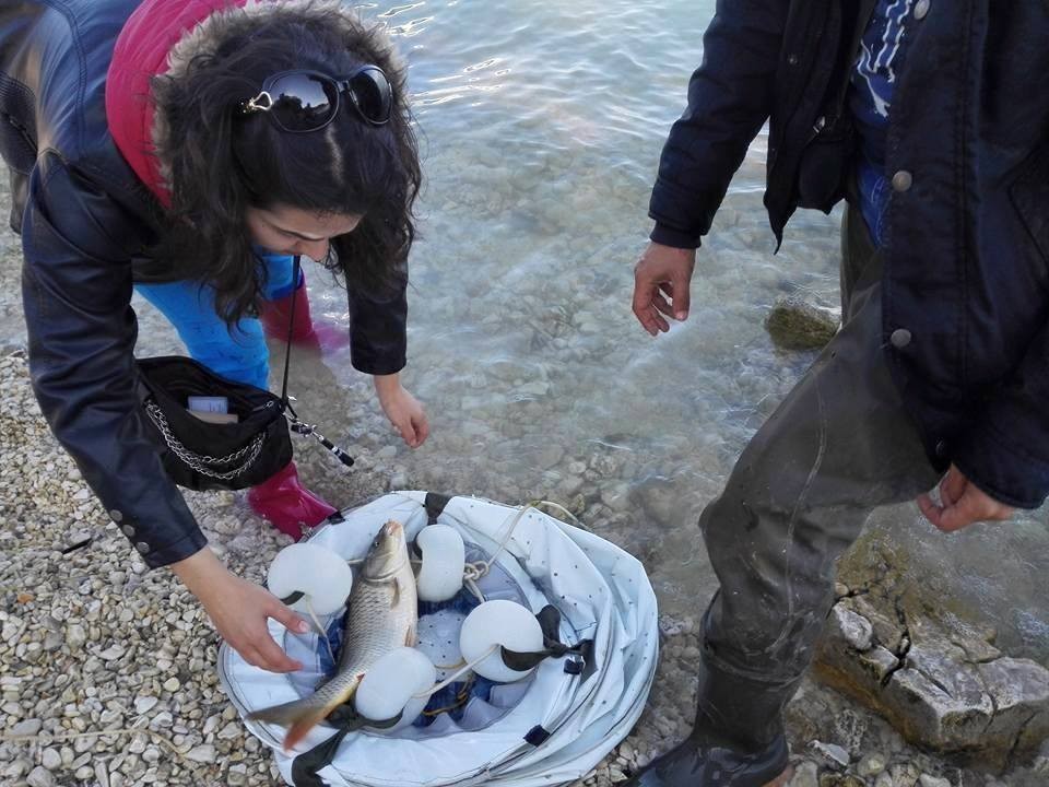 Beyşehir Gölü’nde ticari ve amatör avcılık faaliyetlerine sıkı takip