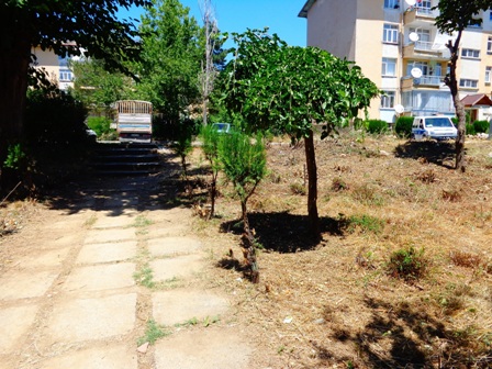 Lojmanlarda ağaç kesenlere  ceza