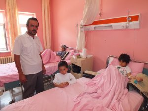 Arılar hastanelik etti: 13 yaralı