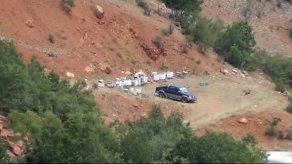 Konya'da arı saldırısı: 13 yaralı