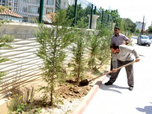 Meram Belediyesi'nin ‘yeşil’ hassasiyeti