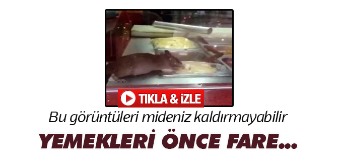 Bu görüntüleri mideniz kaldırmayabilir!