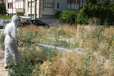 Selçuklu’da 20 ekip 49 personel ile haşereyle mücadele