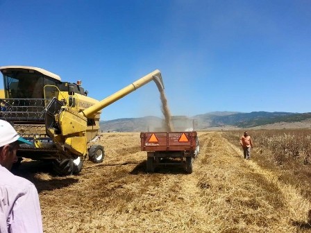 Biçerdöver operatörleri denetleniyor