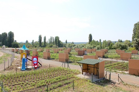 Hobi bahçeleri meyvelerini verdi