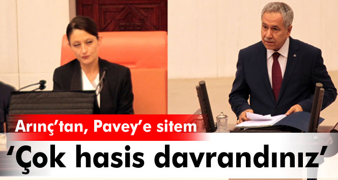 Arınç Pavey’e sitem etti