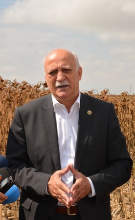 Konya ayçiçeği üretiminde lider