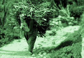 Tekkeş Nine ile Uz Dudu'nun öyküsü