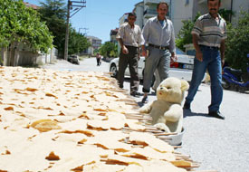 Beyşehir'de tarhana telaşı