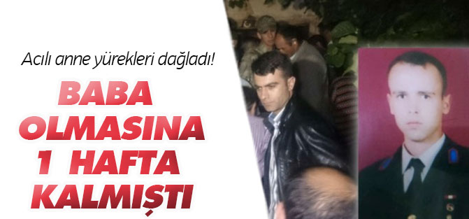 Şehit çavuşun baba olmasına 1 hafta kalmıştı