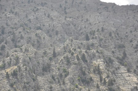 Konya'da kayalıktan düşen kişiyi cep telefonu hayata bağladı