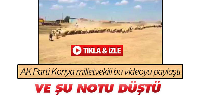Mehmet Babaoğlu: Hep böyle bir sürüm olsun isterim
