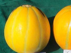 Stressavar meyve kavun