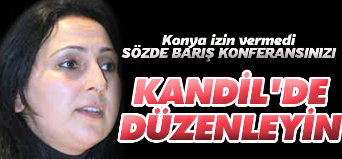 Sözde Barış Konferansınızı Kandil’de düzenleyin!