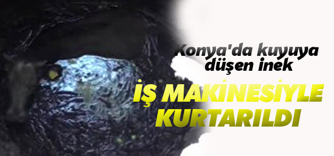 Konya'da kuyuya düşen inek iş makinesiyle kurtarıldı