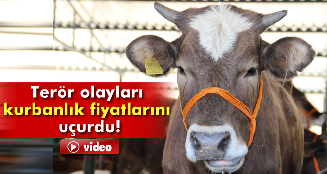 Terör olayları hayvan pazarlarını etkiledi