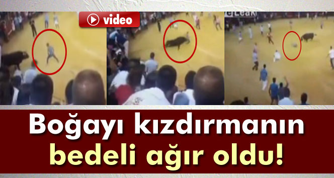 Boğayla şaka olmaz !