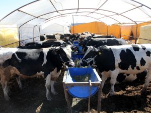 Selçuklu’da kurban satış ve kesim yerleri belli oldu