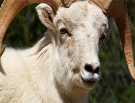 Bayram tatilinin süresi ne zaman belli olacak?