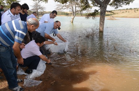 Büyükşehir’den balıkçılığa destek