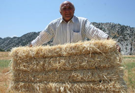 Saman fiyatları tavan yaptı