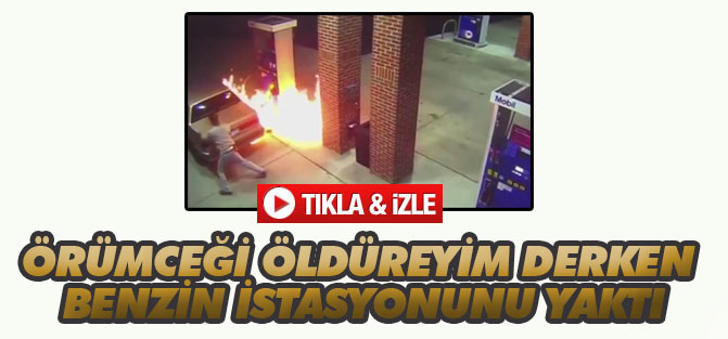 Örümceği öldüreyim derken benzin istasyonunu yaktı