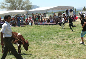 9. Soğuksu Şenliği yapıldı