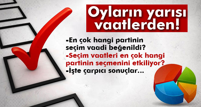 Oyların yarısı vaatlerden!