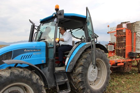 Milletvekili traktör sürdü, pancar hasadı yaptı