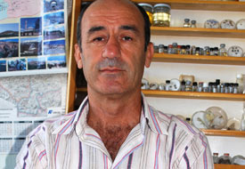 Arılardan sonra sinekler de kayboluyor
