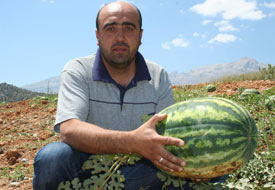 Karpuz üretimi yüz güldürdü