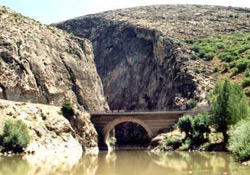 HAİN saldırının perde arkası