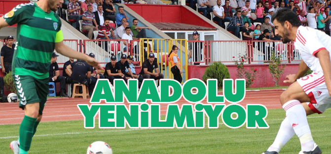 Anadolu yenilmiyor