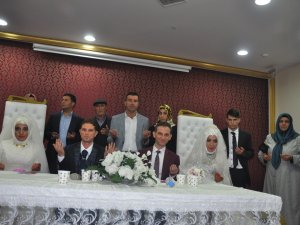 Arı ailesinde çifte mutluluk