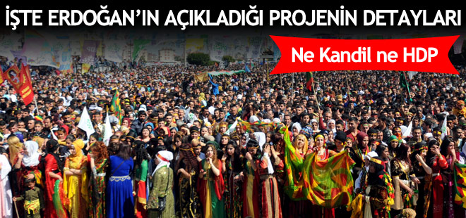 İşte Erdoğan'ın açıkladığı Milli Birlik ve Kardeşlik'projesinin detayları