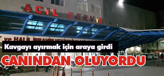 Kavgayı ayırmak isterken canından oluyordu